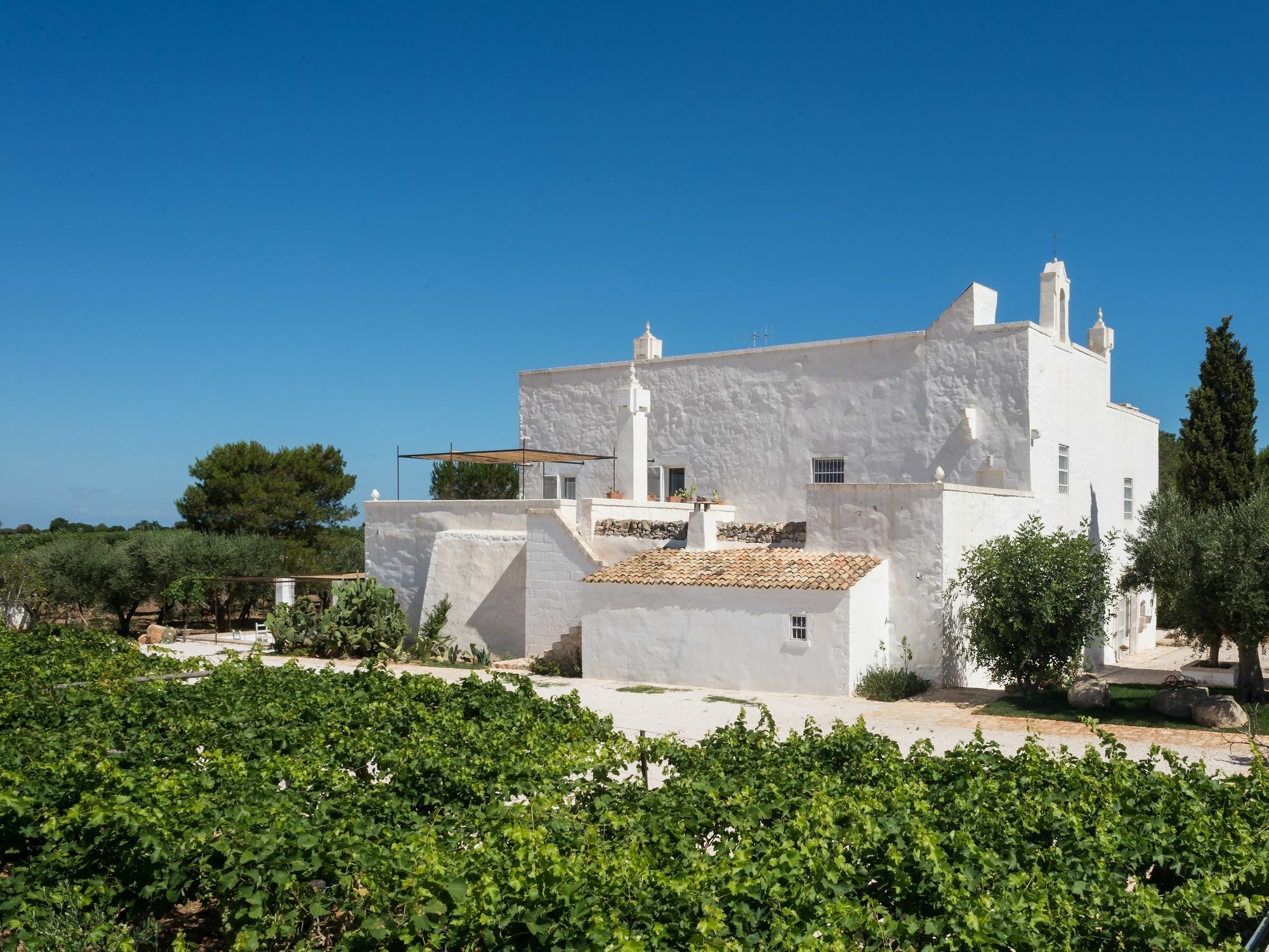 Masseria Le Cerase Villa Conversano Exterior photo