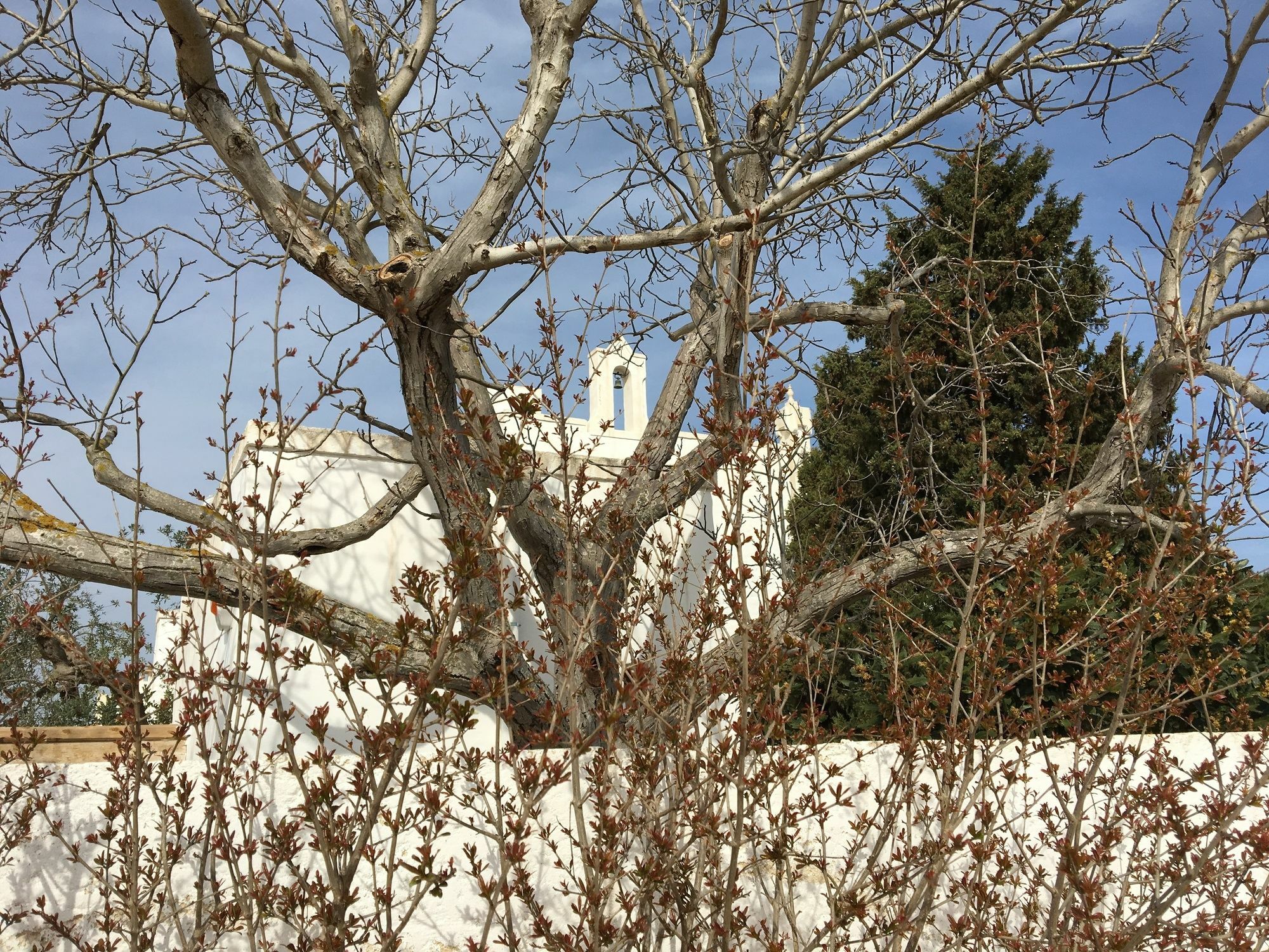 Masseria Le Cerase Villa Conversano Exterior photo